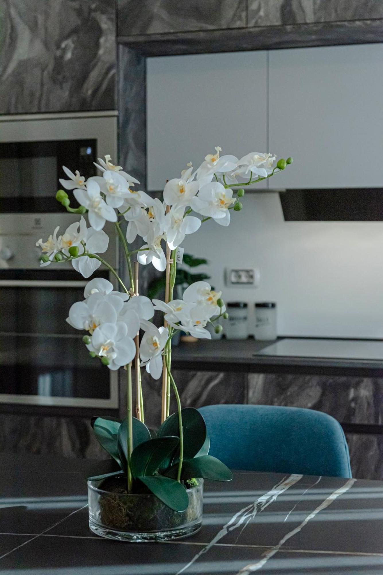 Bed & Breakfast Il Narciso โรม ภายนอก รูปภาพ