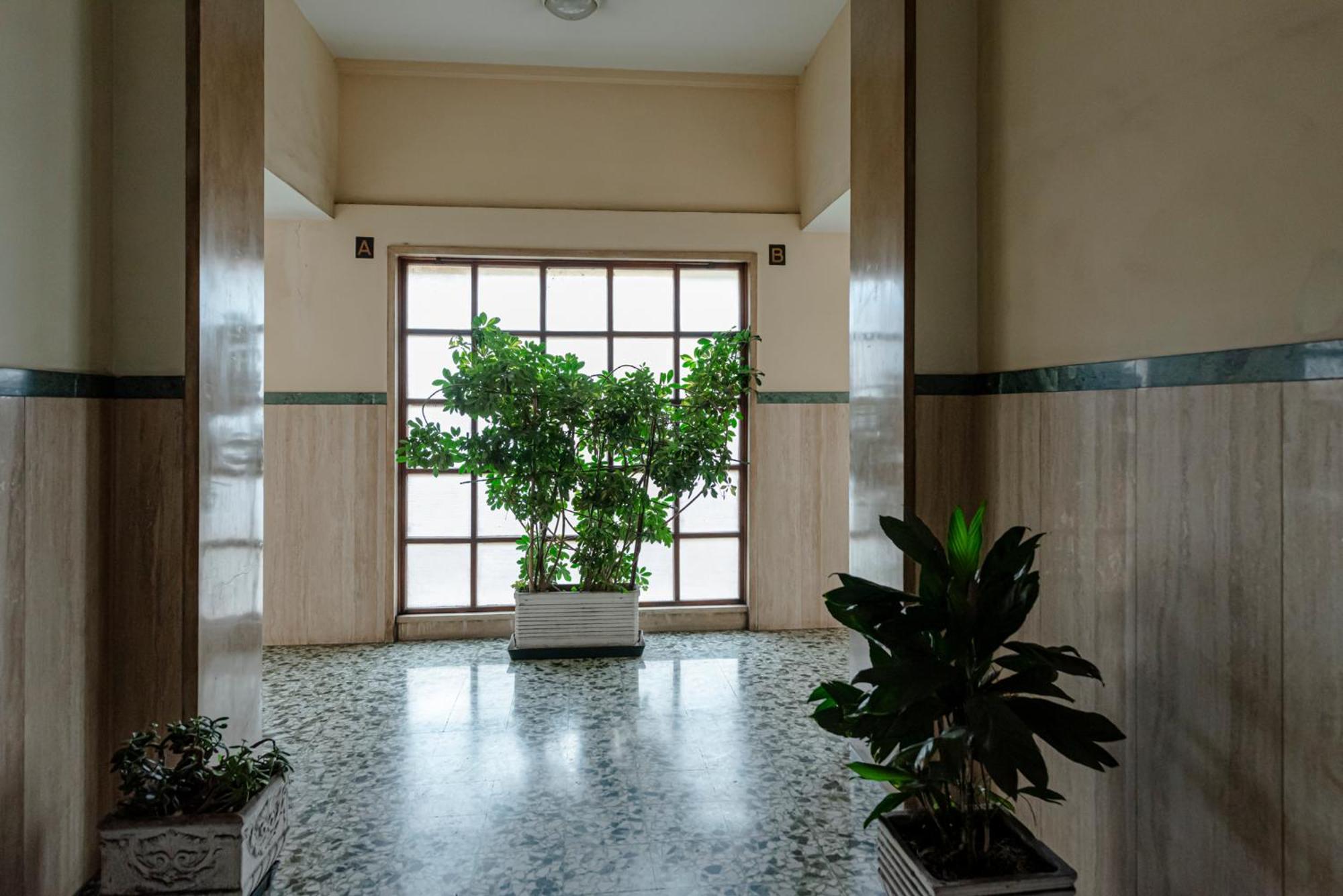 Bed & Breakfast Il Narciso โรม ภายนอก รูปภาพ